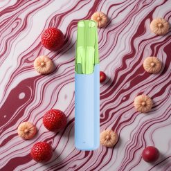 Ledus Snowplus Dash 4000 Iekšzemes Ierīce ar 530 mAh Akumulatoru un Keramikas Atomizatoru