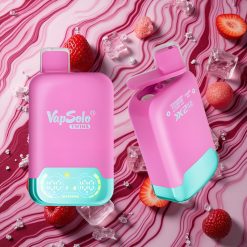 Zemeņu, Avenu, Ķiršu Ledus & Vīnogu Ledus garšu kombinācija Vapsolo Twins 20000 Puffs Vienreizlietojamais Vape